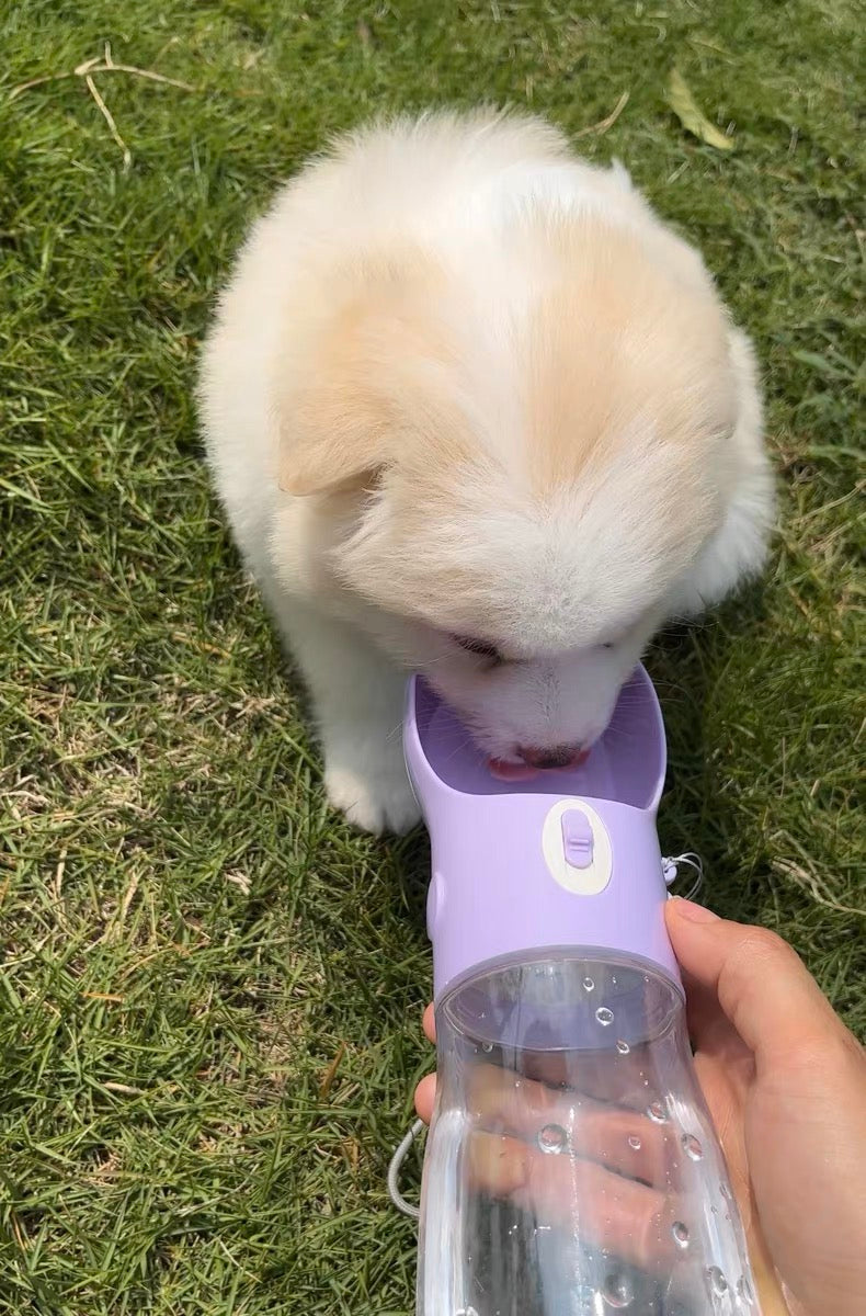 Multi-functional Water Bottle