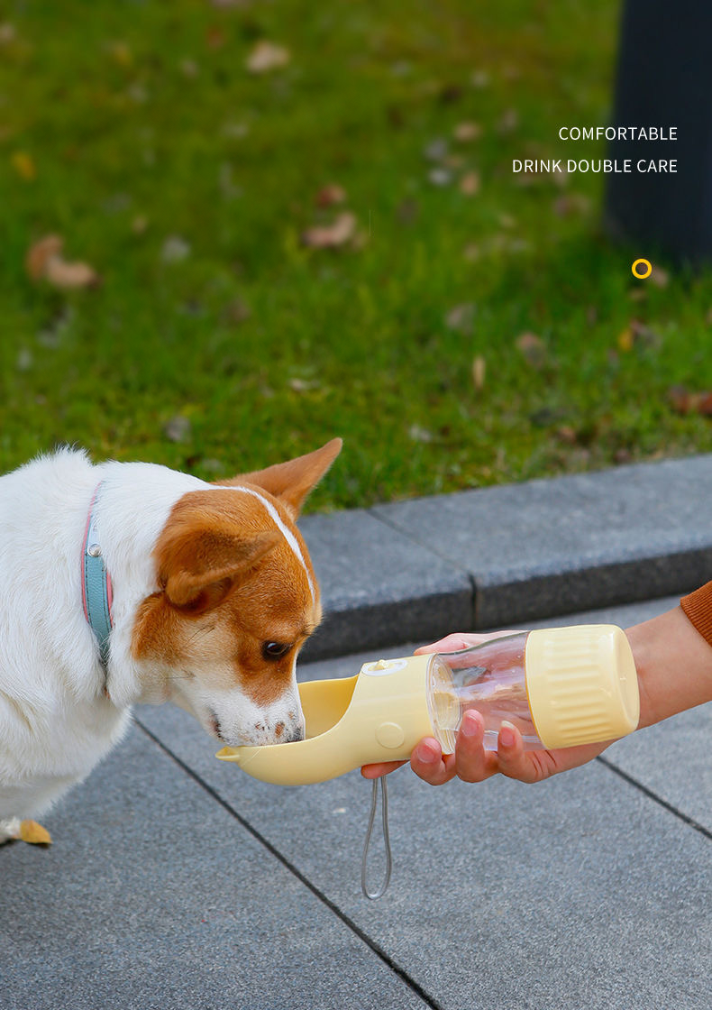 Multi-functional Water Bottle