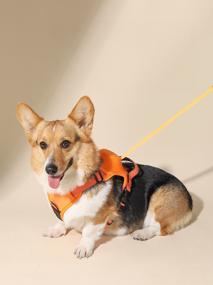 2-in-1 Dog Chest and Back Strap