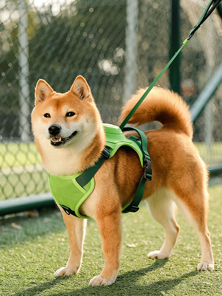 2-in-1 Dog Chest and Back Strap