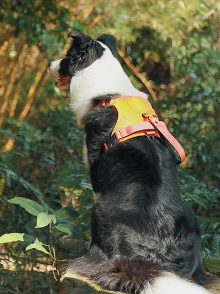 2-in-1 Dog Chest and Back Strap