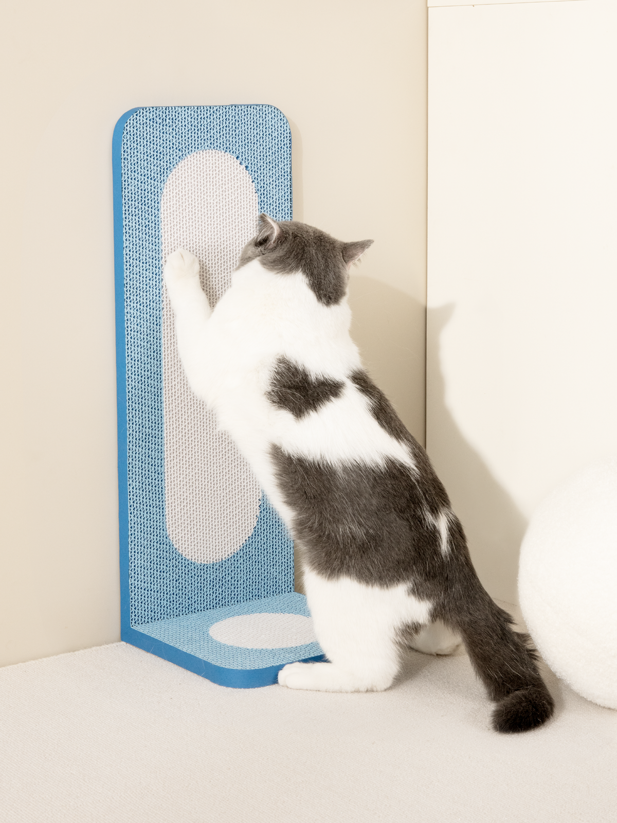 FROHZ Wow Cat Grab Board