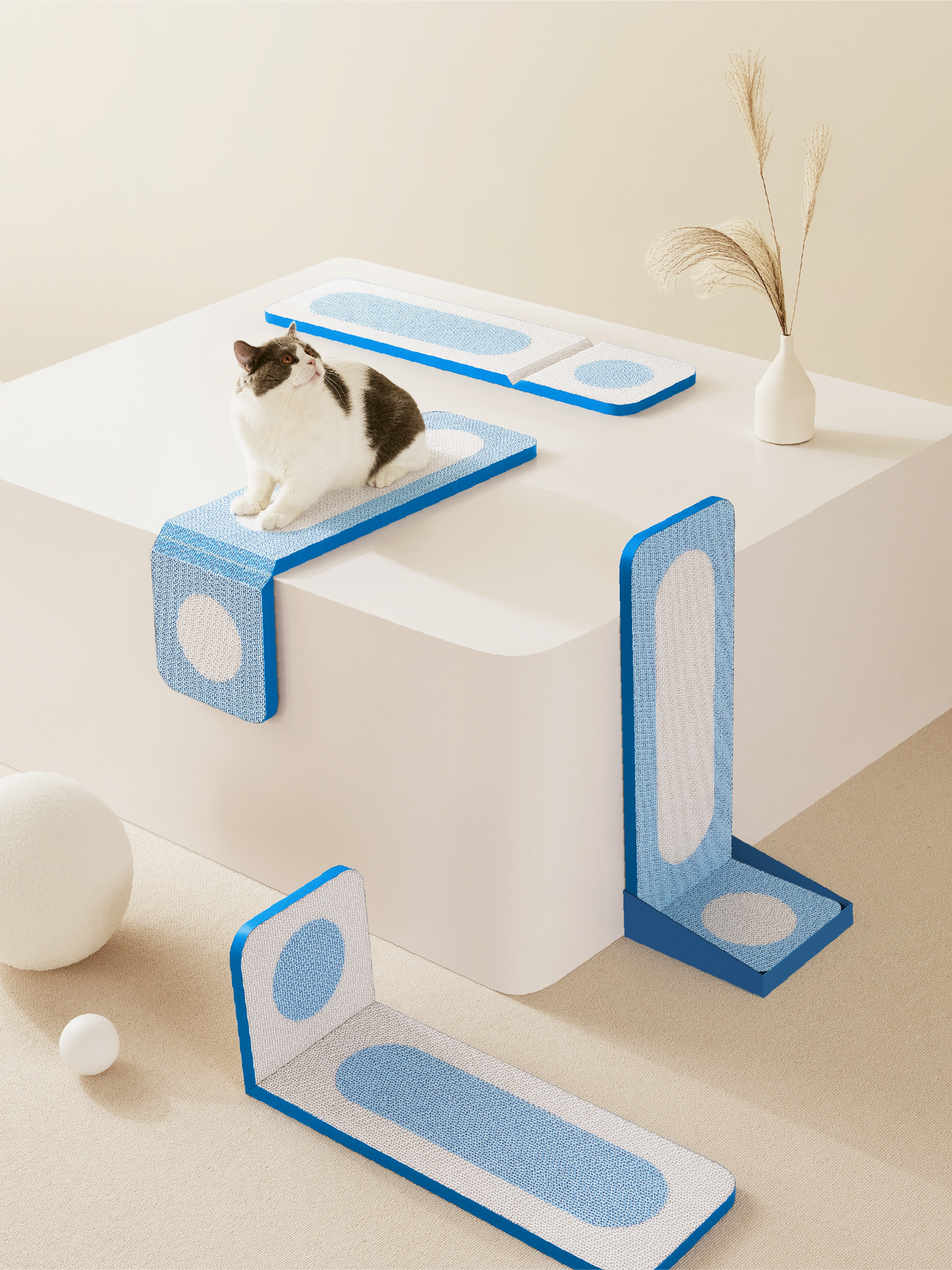 FROHZ Wow Cat Grab Board