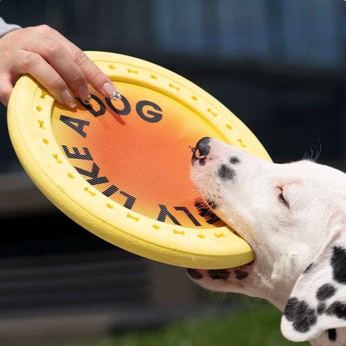 HOWGO Dog Flying Disc Toy