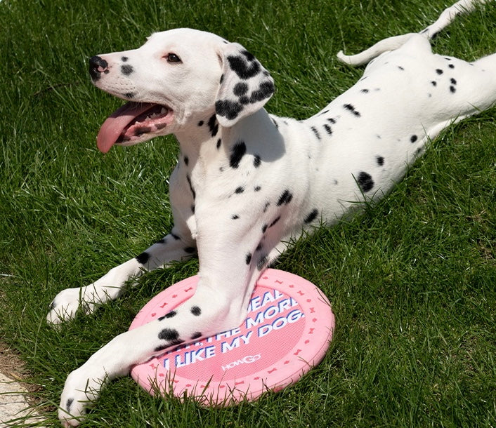 HOWGO Dog Flying Disc Toy
