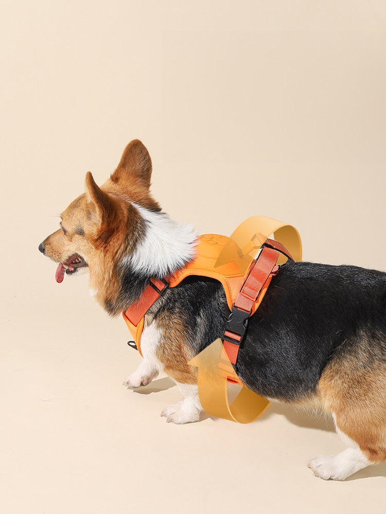2-in-1 Dog Chest and Back Strap
