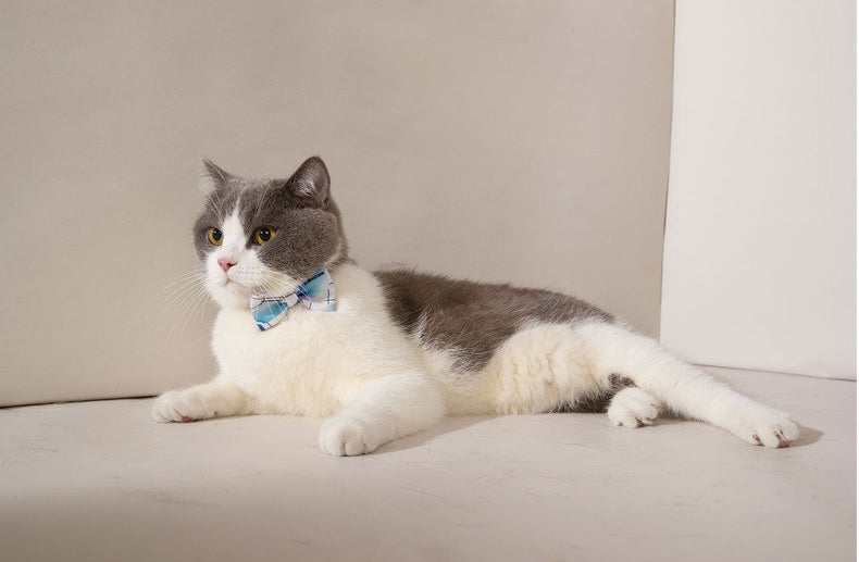 MAOGOUBLUE 猫蝶ネクタイ