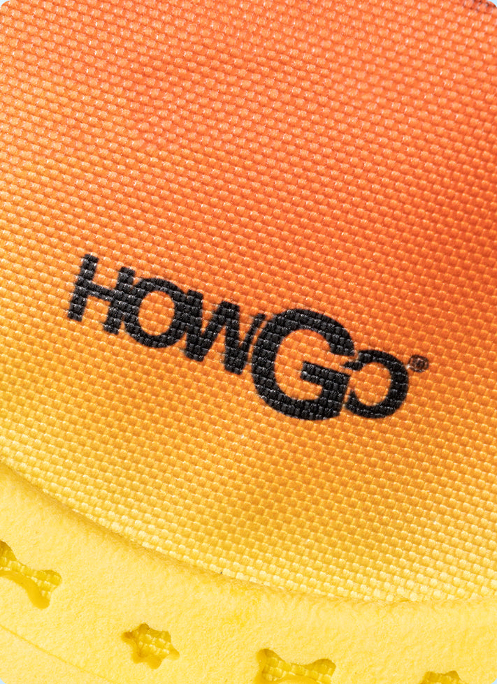 HOWGO Dog Flying Disc Toy