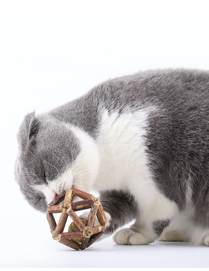 MIAO FAIRY Catnip Toy Polygonum Orientale