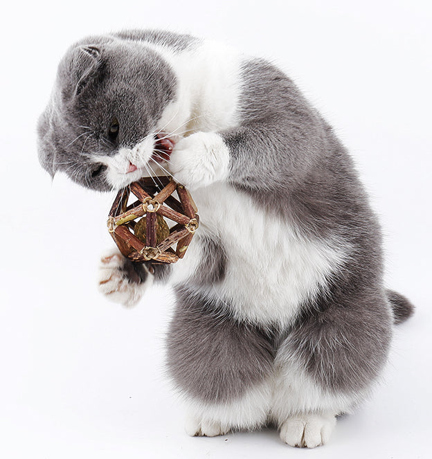 MIAO FAIRY Catnip Toy Polygonum Orientale