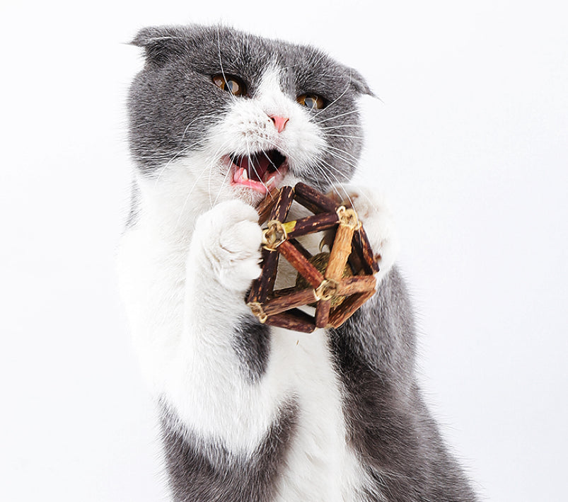 MIAO FAIRY Catnip Toy Polygonum Orientale