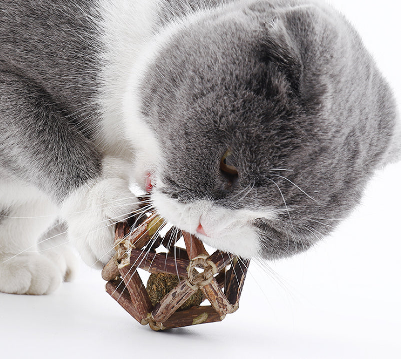 MIAO FAIRY Catnip Toy Polygonum Orientale