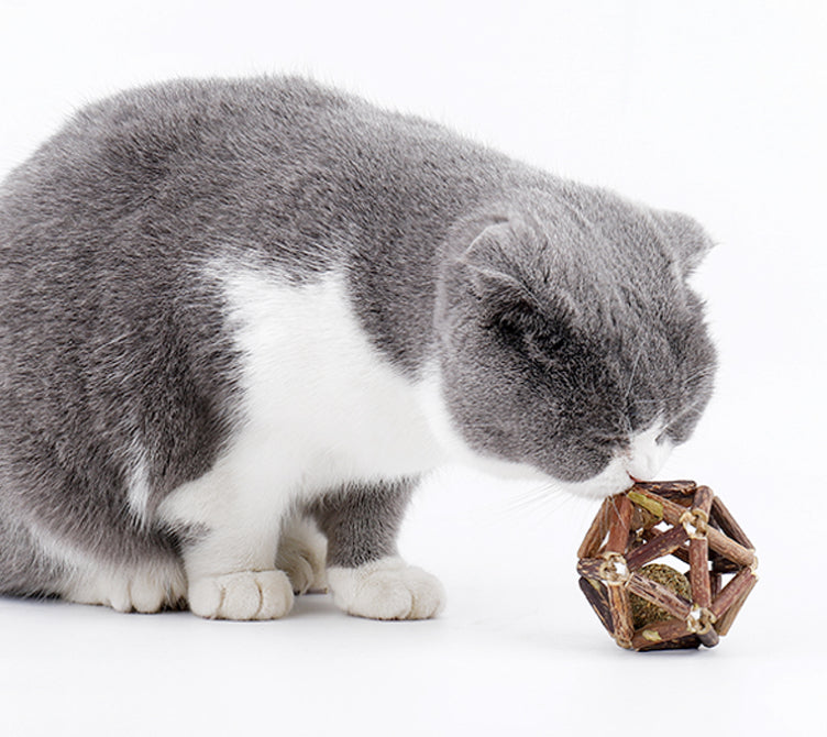 MIAO FAIRY Catnip Toy Polygonum Orientale