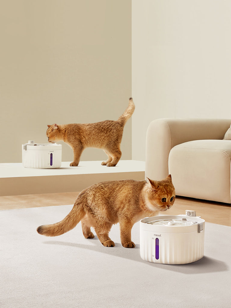 MEOOF ペットワイヤレス噴水器