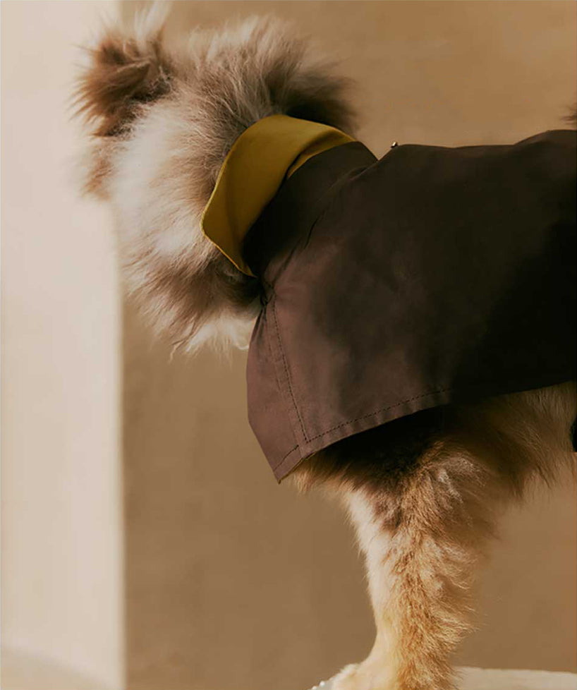 1ER BUD Pet Reversible Coat