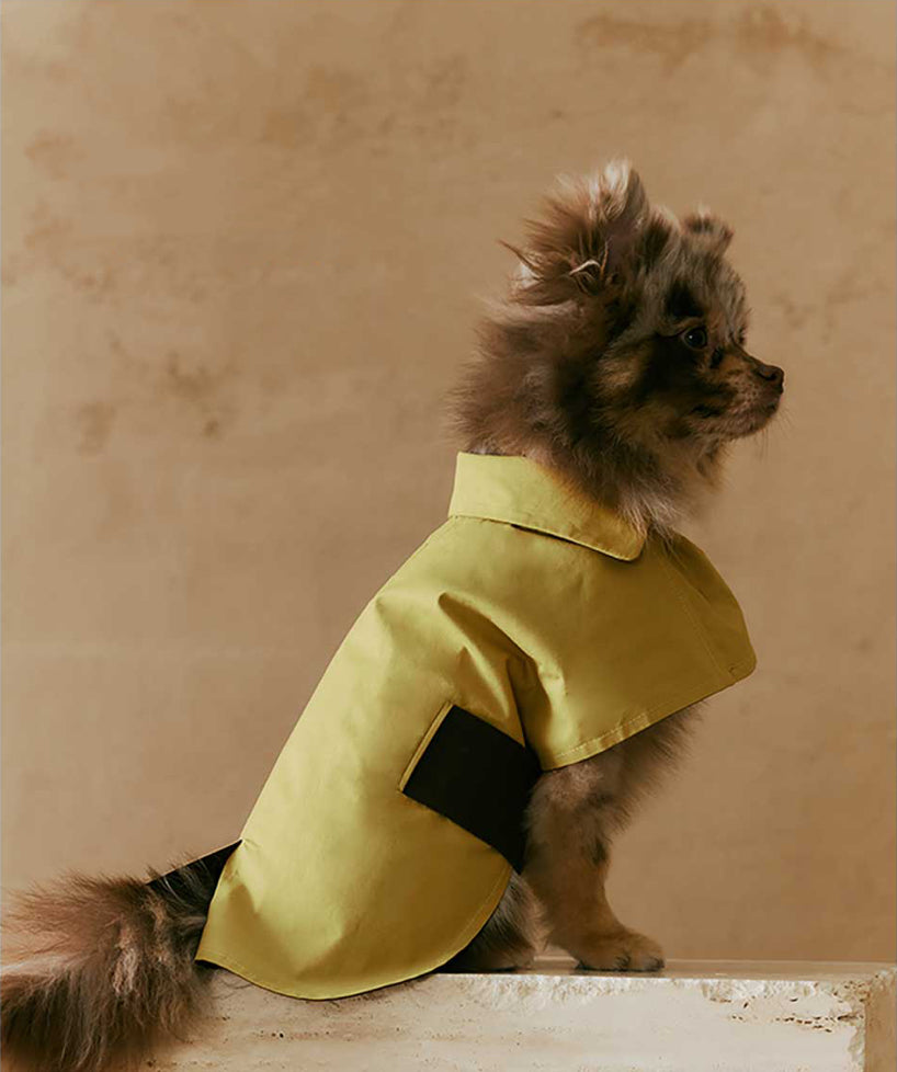 1ER BUD Pet Reversible Coat