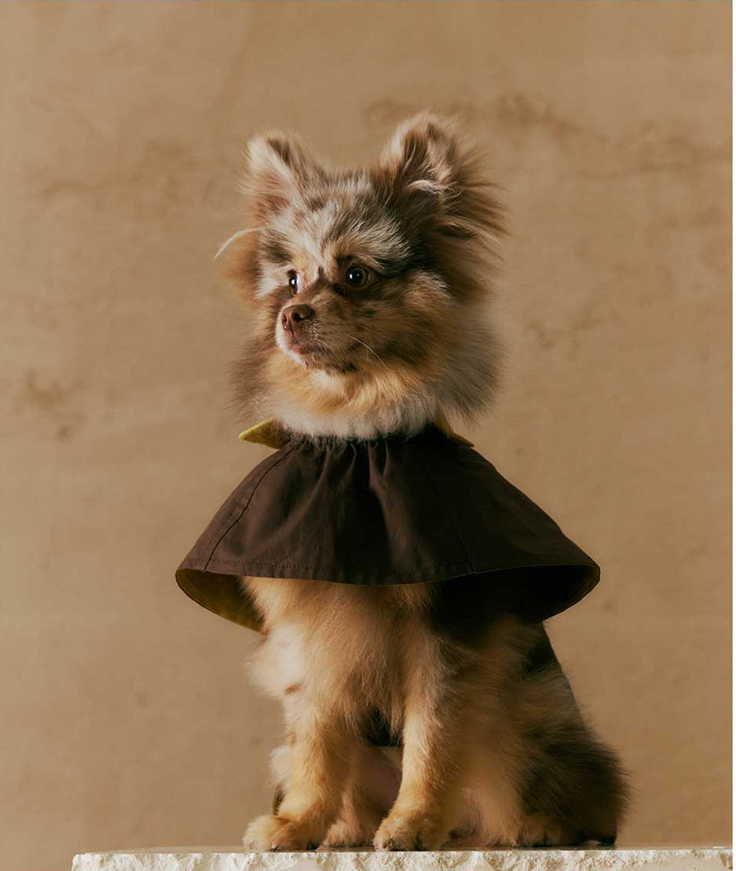 1ER BUD Pet Reversible Coat