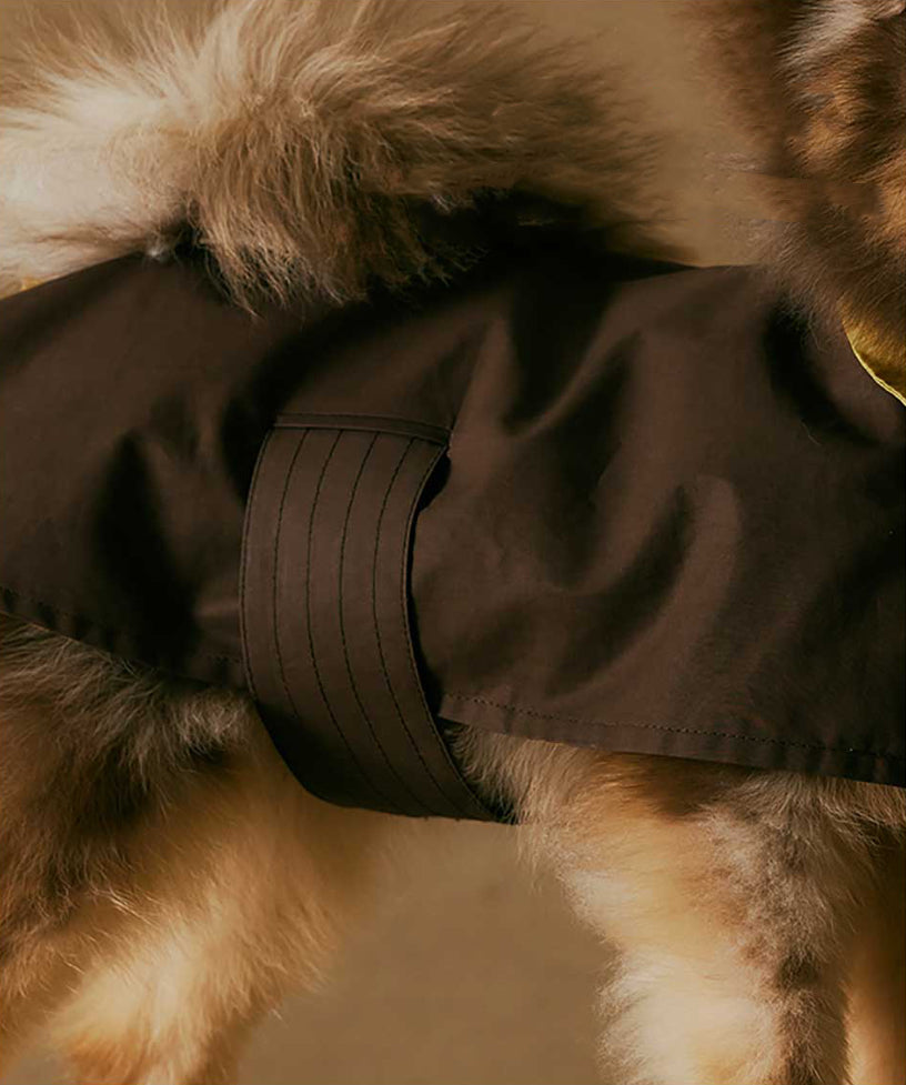 1ER BUD Pet Reversible Coat