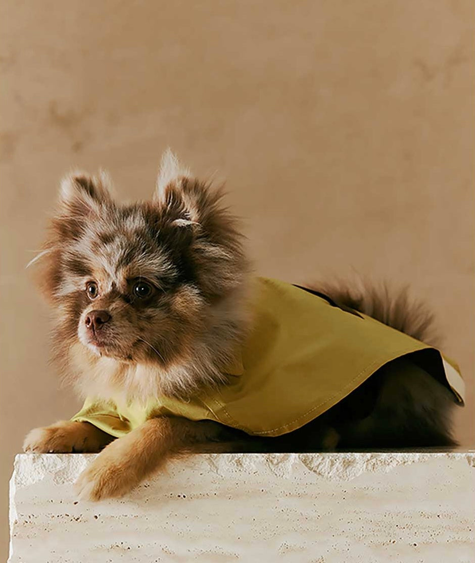 1ER BUD Pet Reversible Coat