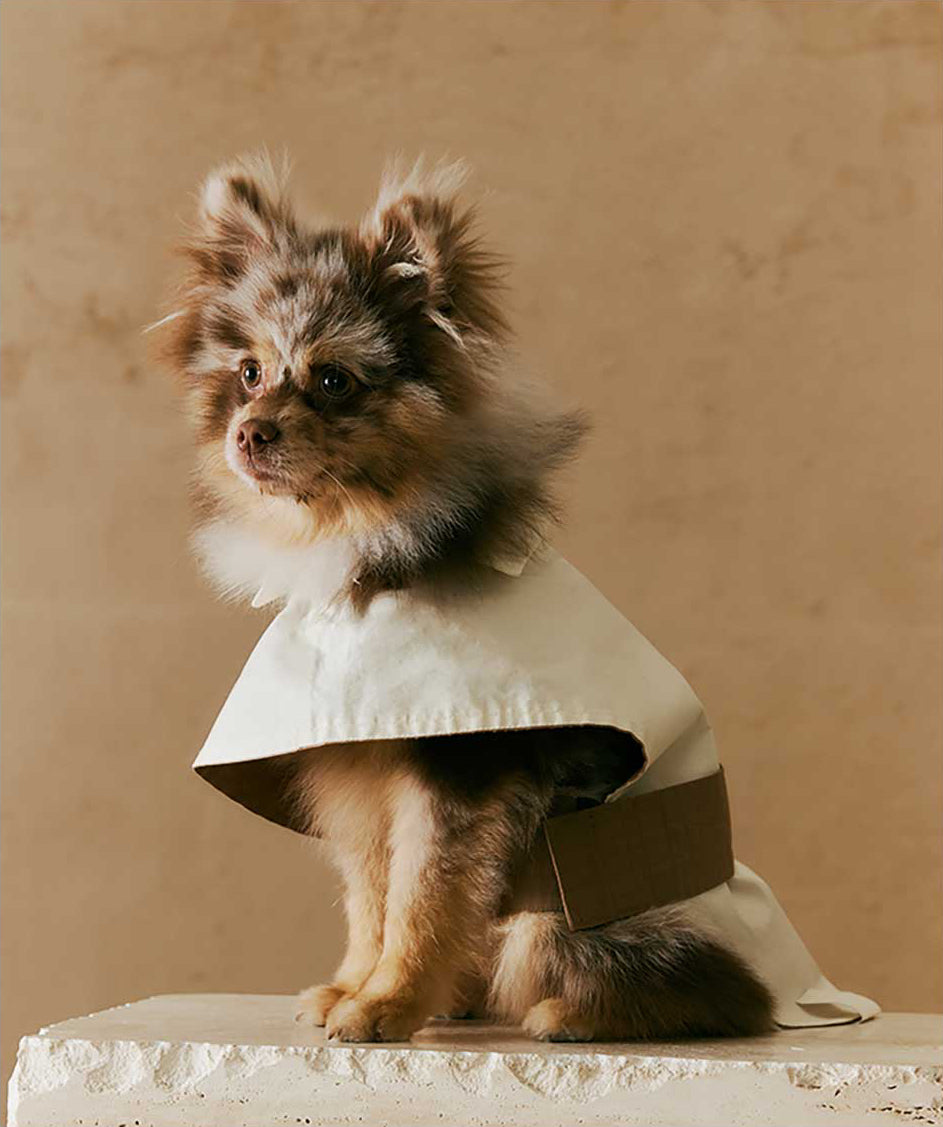 1ER BUD Pet Reversible Coat