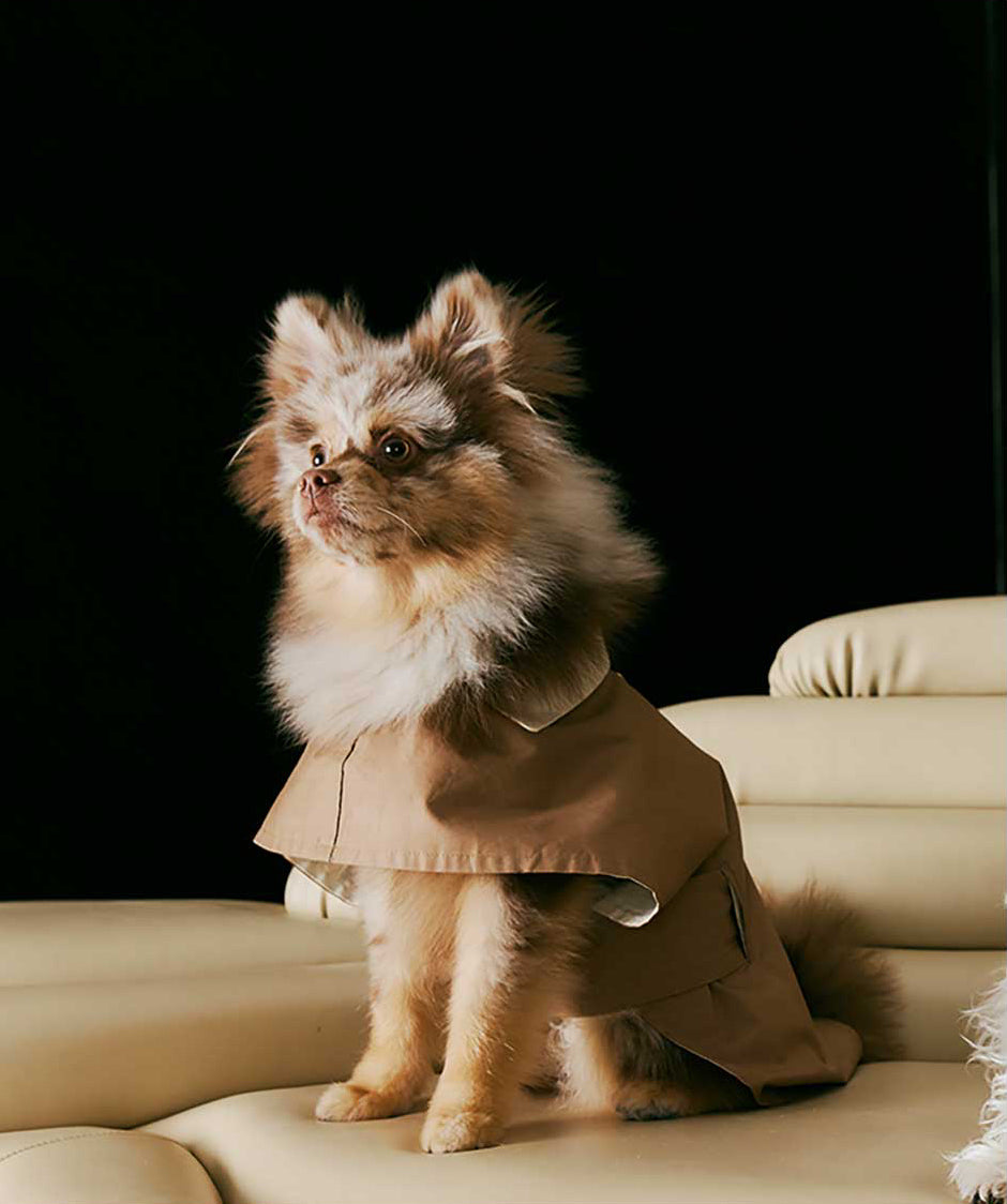 1ER BUD Pet Reversible Coat