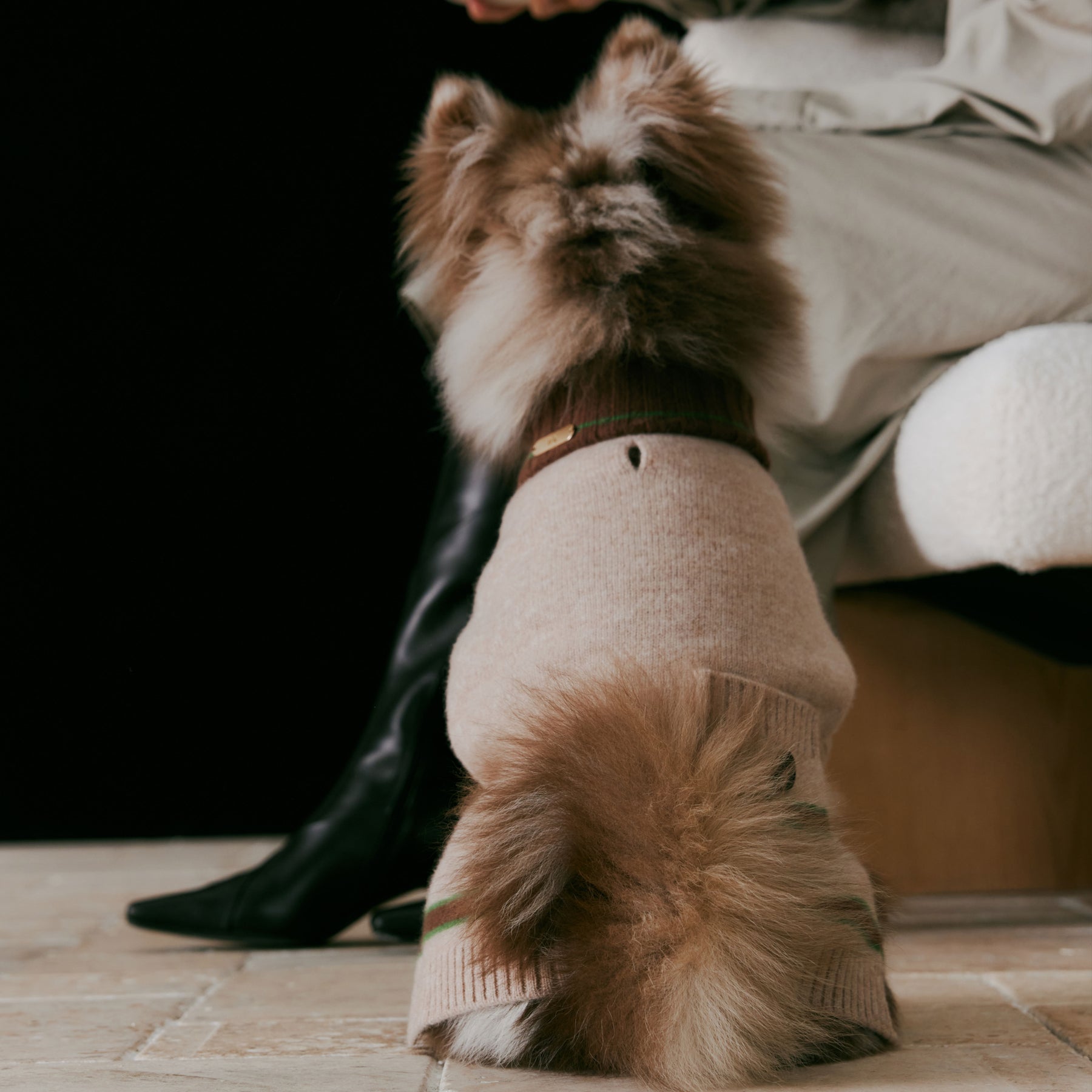 1ER BUD Pet Sweater