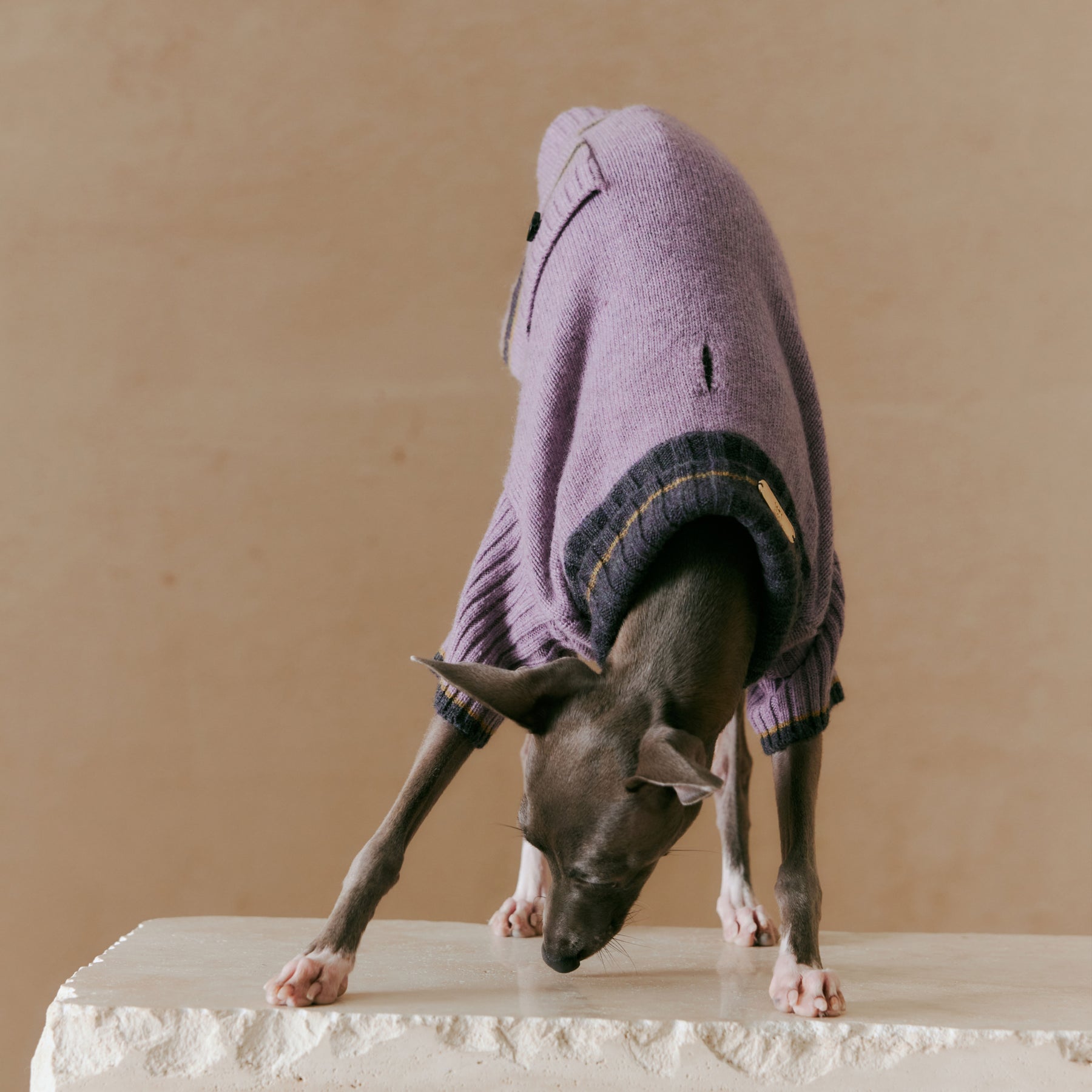 1ER BUD Pet Sweater