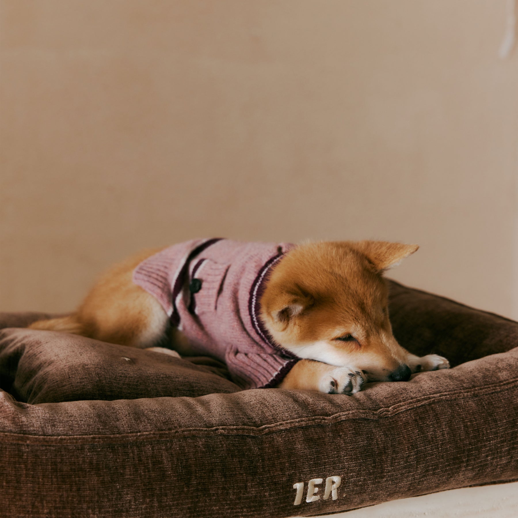1ER BUD Pet Sweater