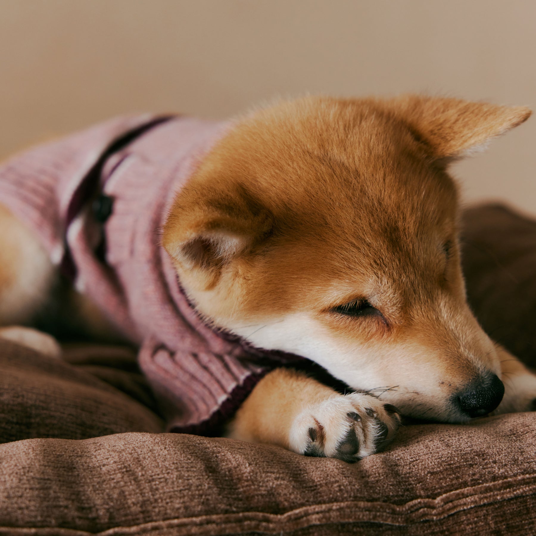 1ER BUD Pet Sweater