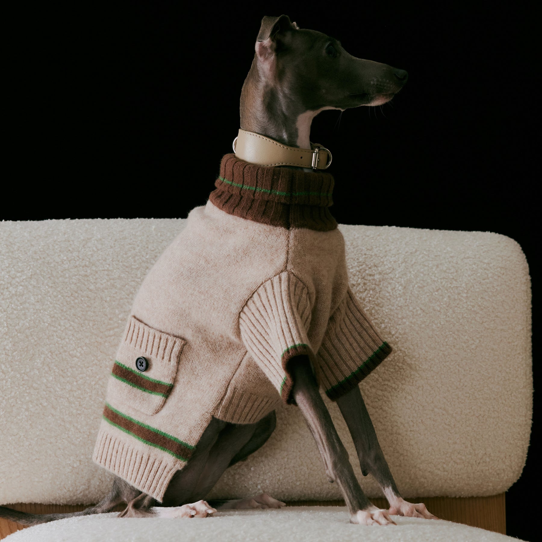 1ER BUD Pet Sweater
