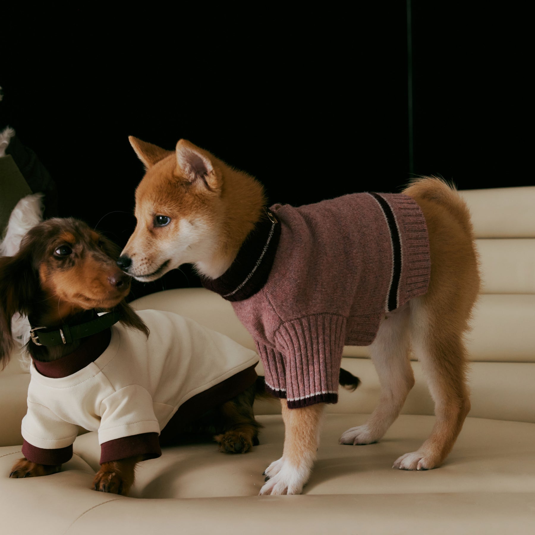 1ER BUD Pet Sweater