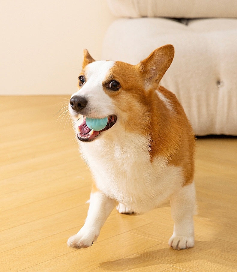 HIPIDOG LEDライト内蔵スマートインタラクティブ追跡玩具ボール