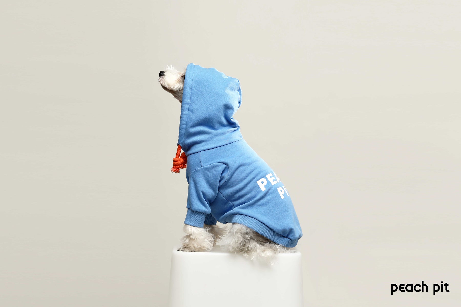 PEACH PIT Dog's Hoodie