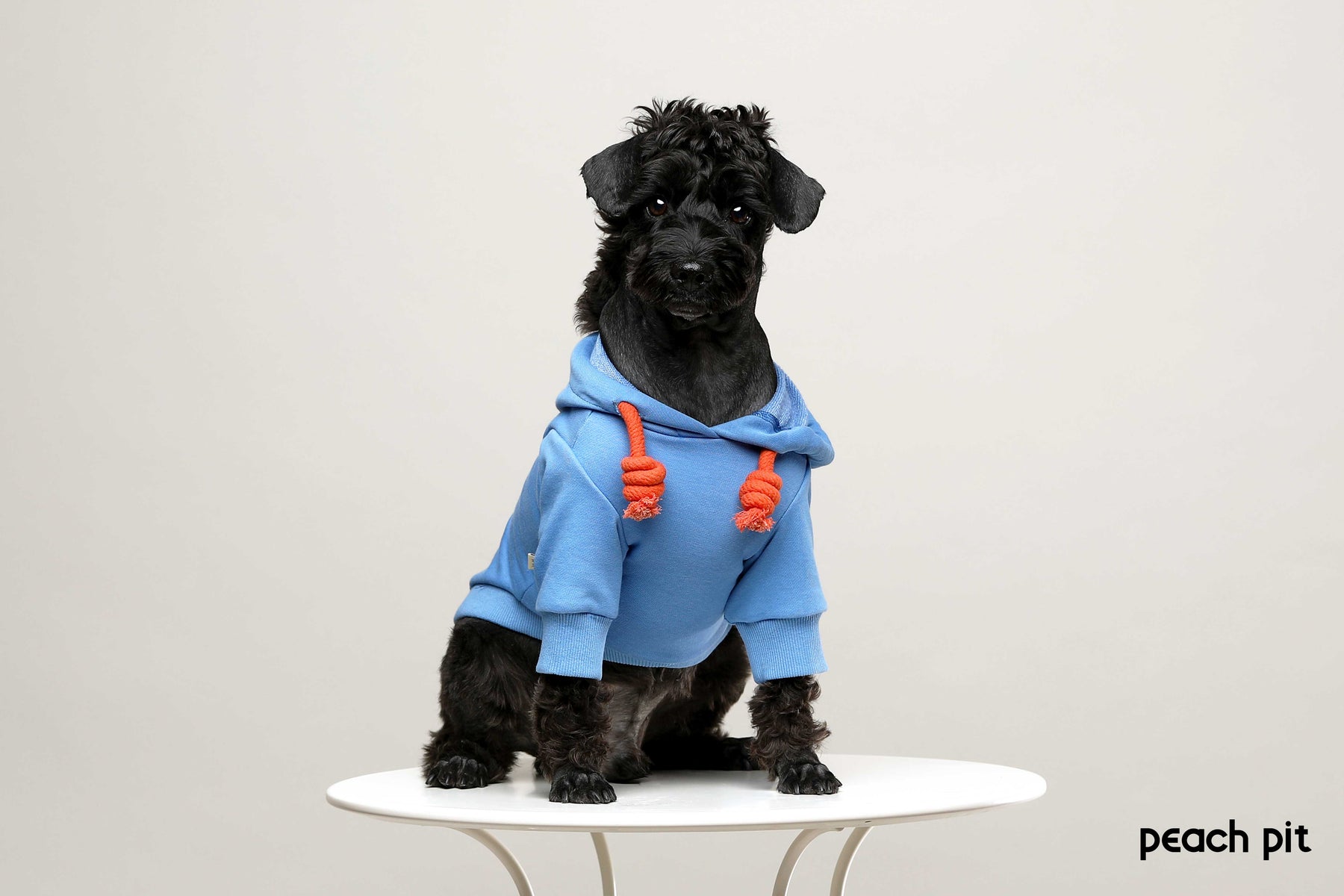 PEACH PIT Dog's Hoodie