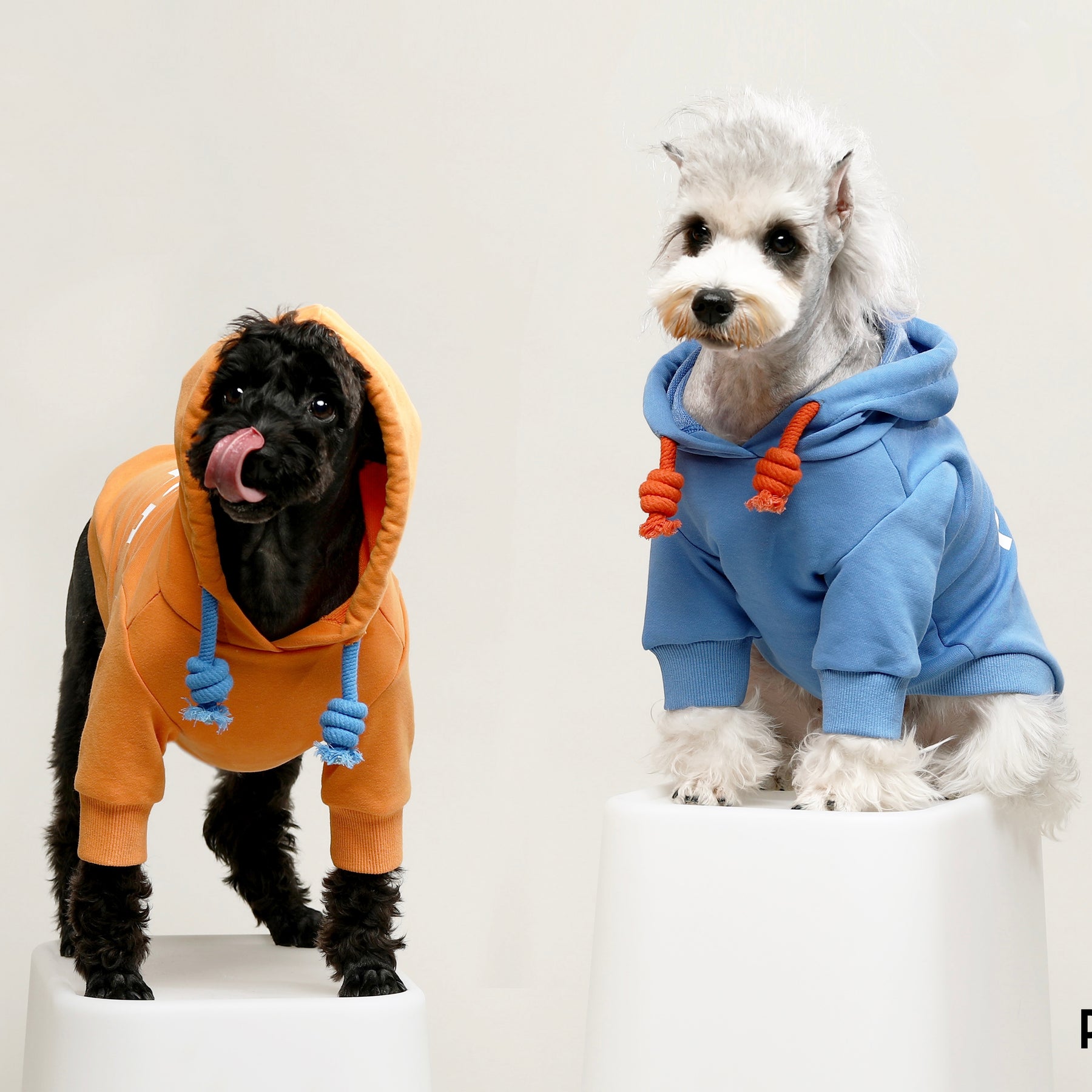 PEACH PIT Dog's Hoodie