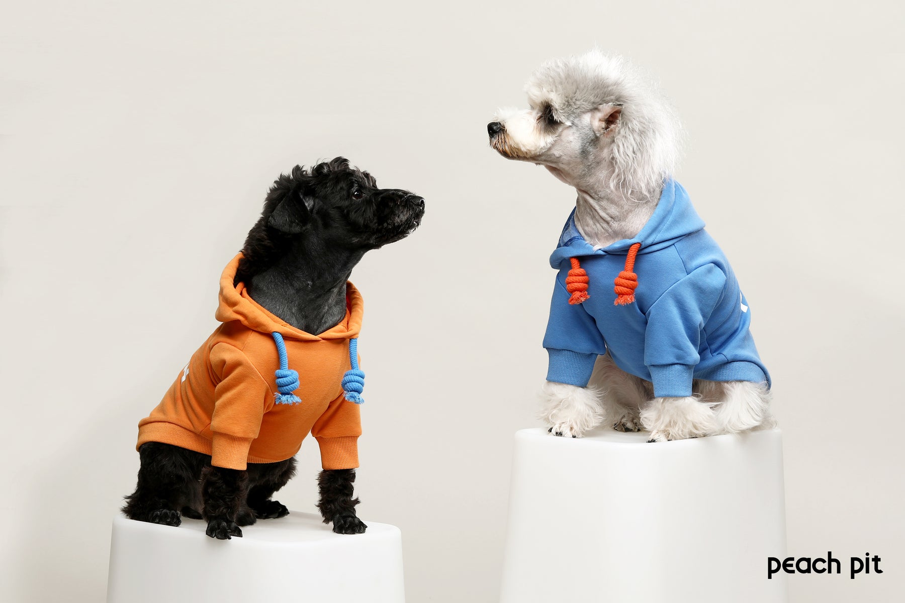 PEACH PIT Dog's Hoodie