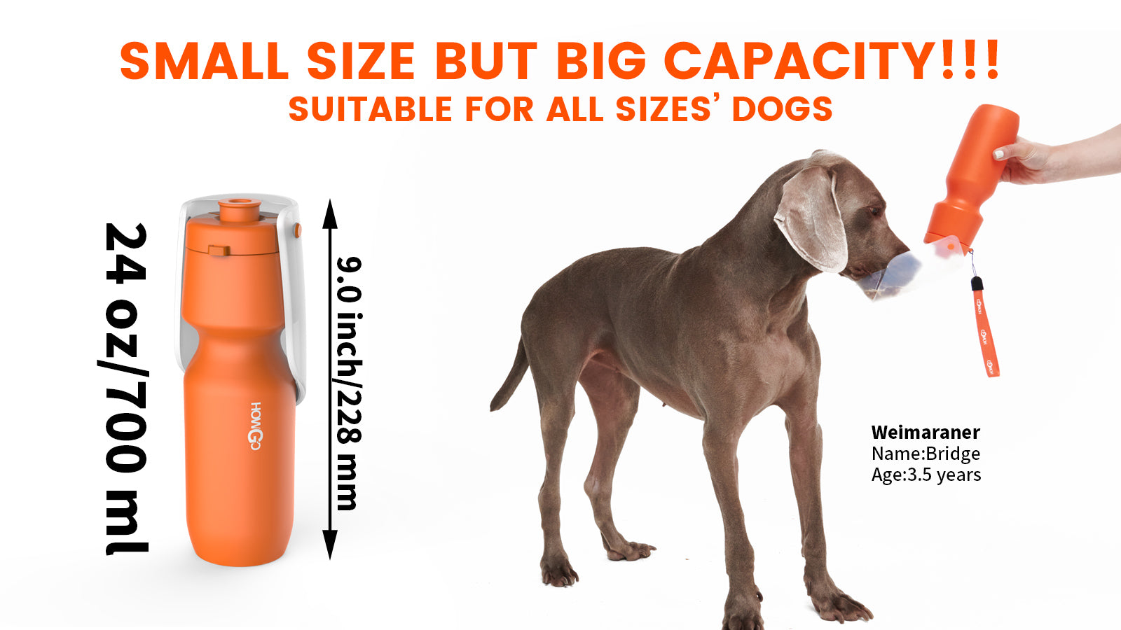 HOWGO Dog's Water Bottle