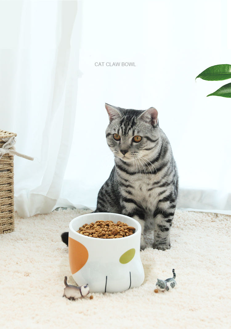 PRINCE PREFERRED Cat Claw Design Bowl