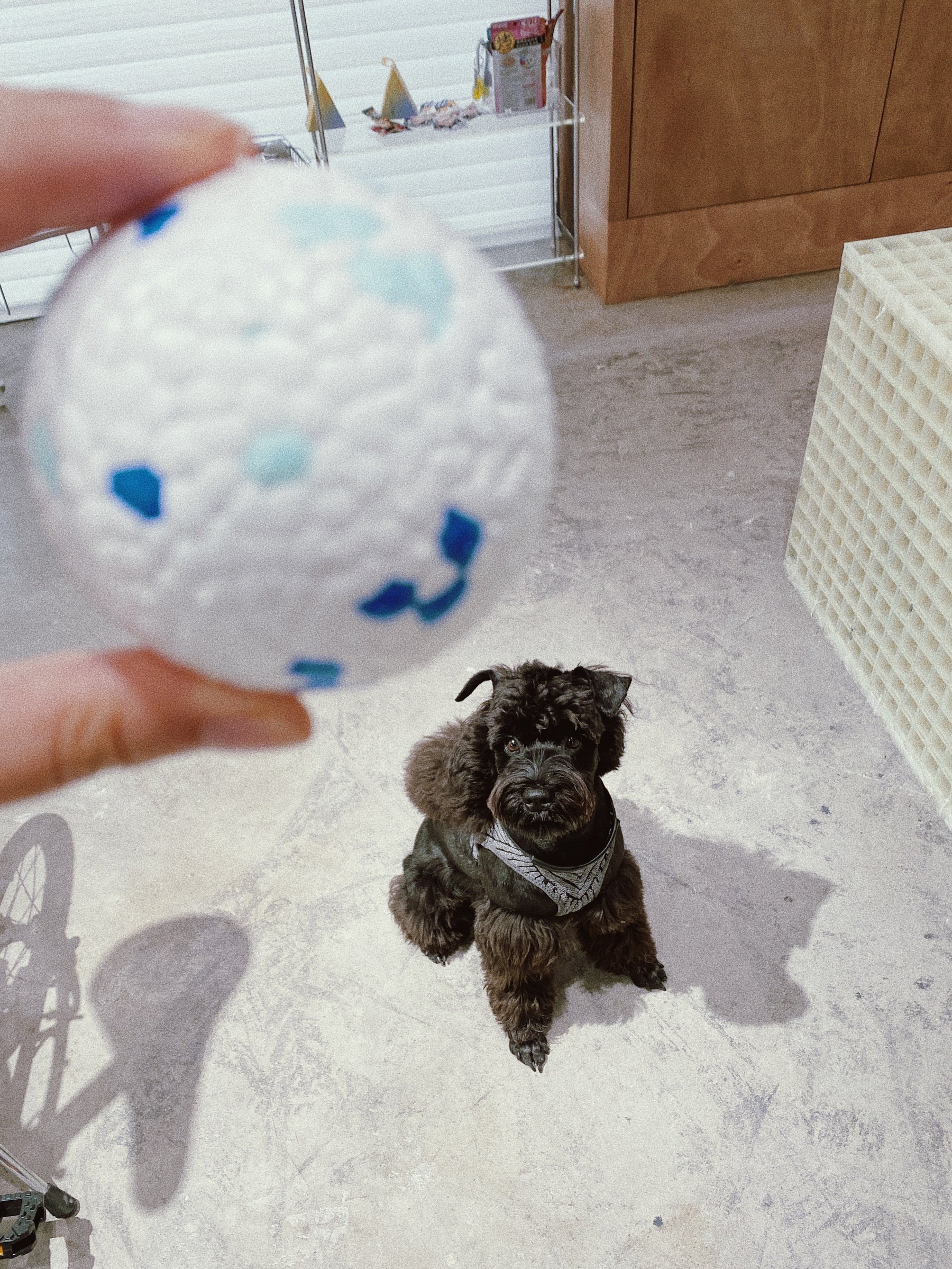 PEACH PIT E-TPU Pet's Chewing Ball Toy
