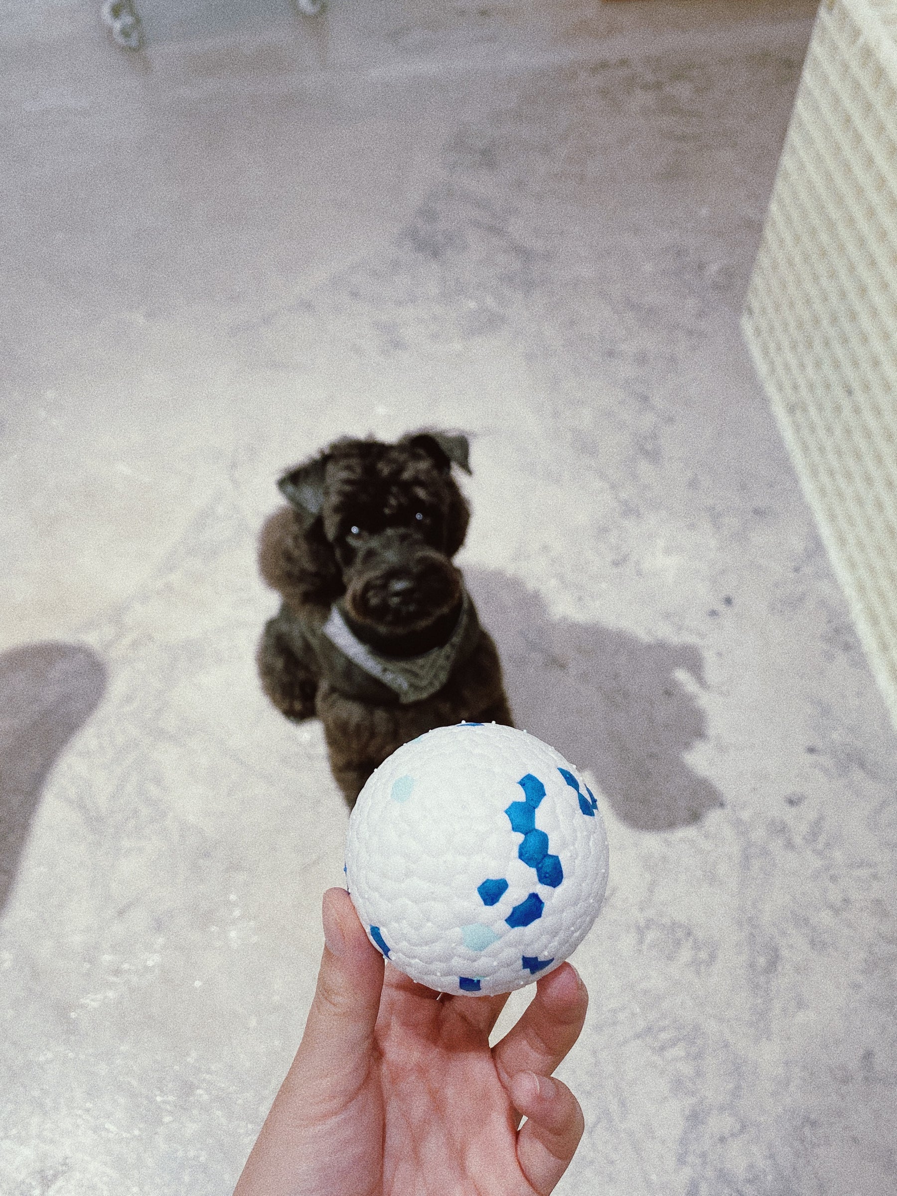 PEACH PIT E-TPU Pet's Chewing Ball Toy