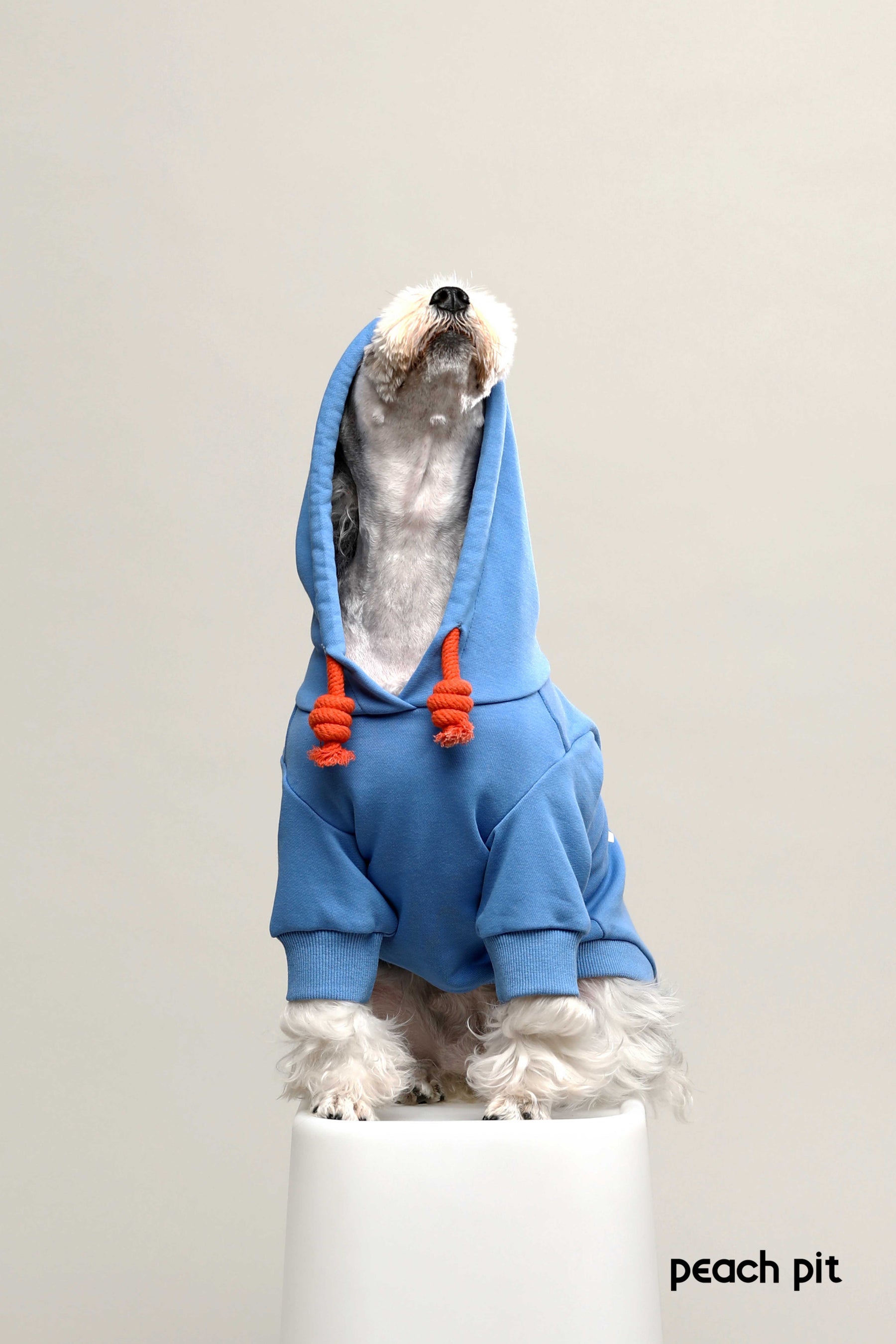PEACH PIT Dog's Hoodie