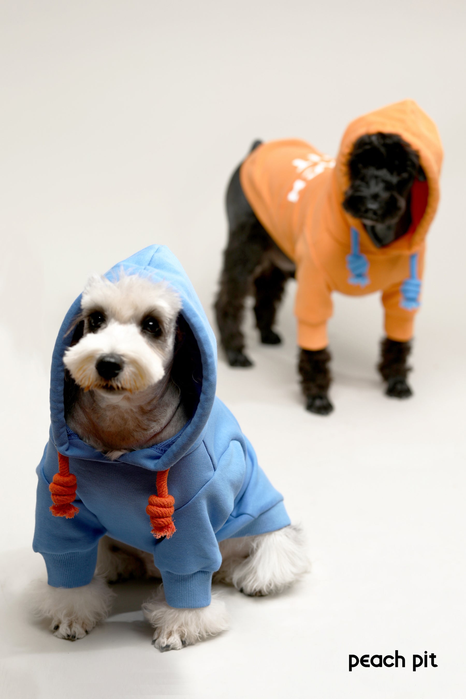 PEACH PIT Dog's Hoodie