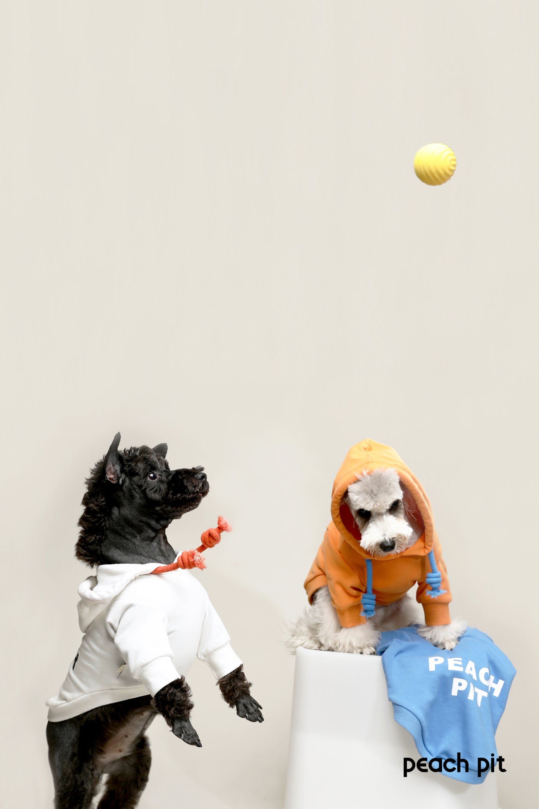 PEACH PIT Dog's Hoodie