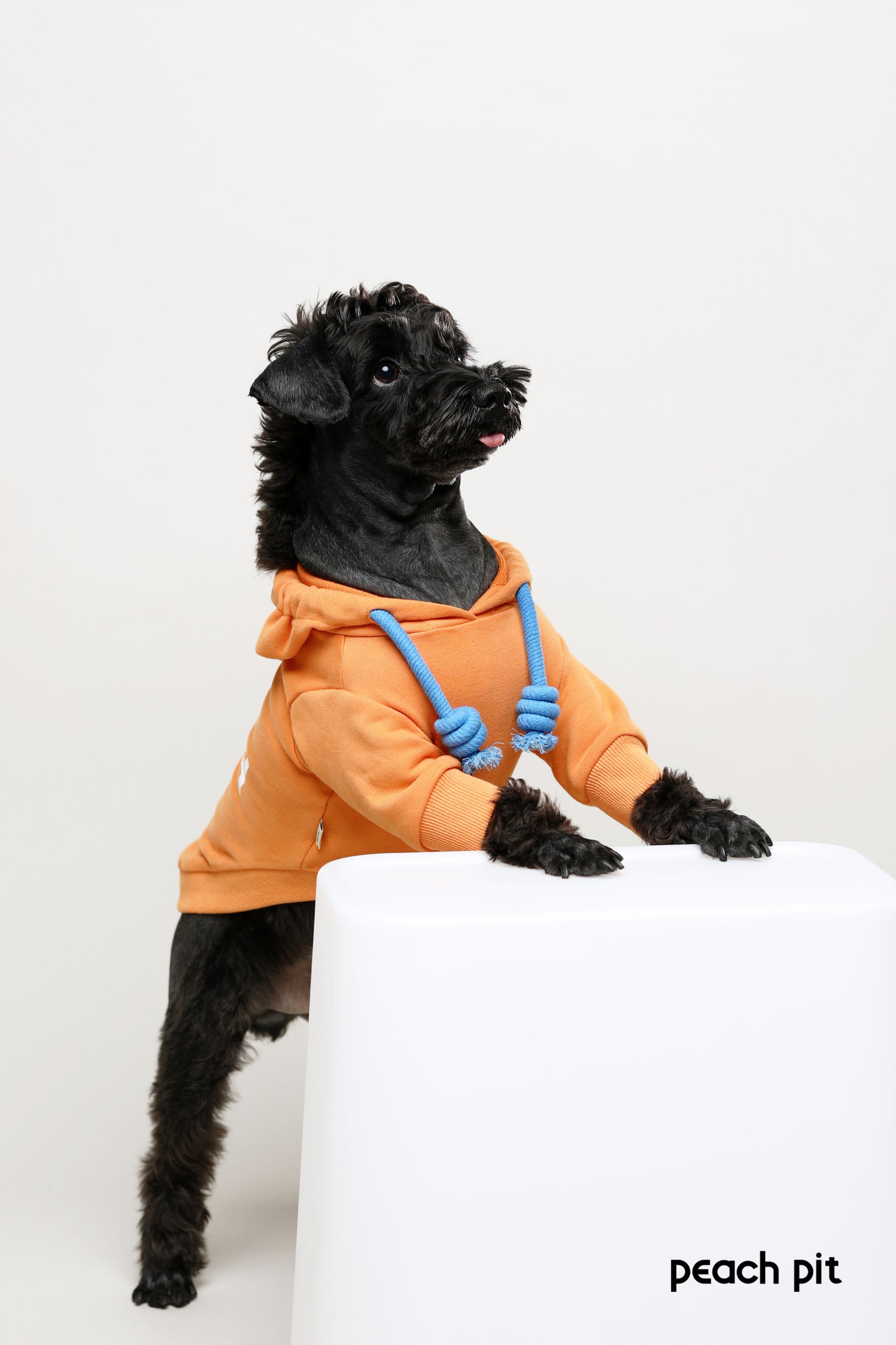 PEACH PIT Dog's Hoodie
