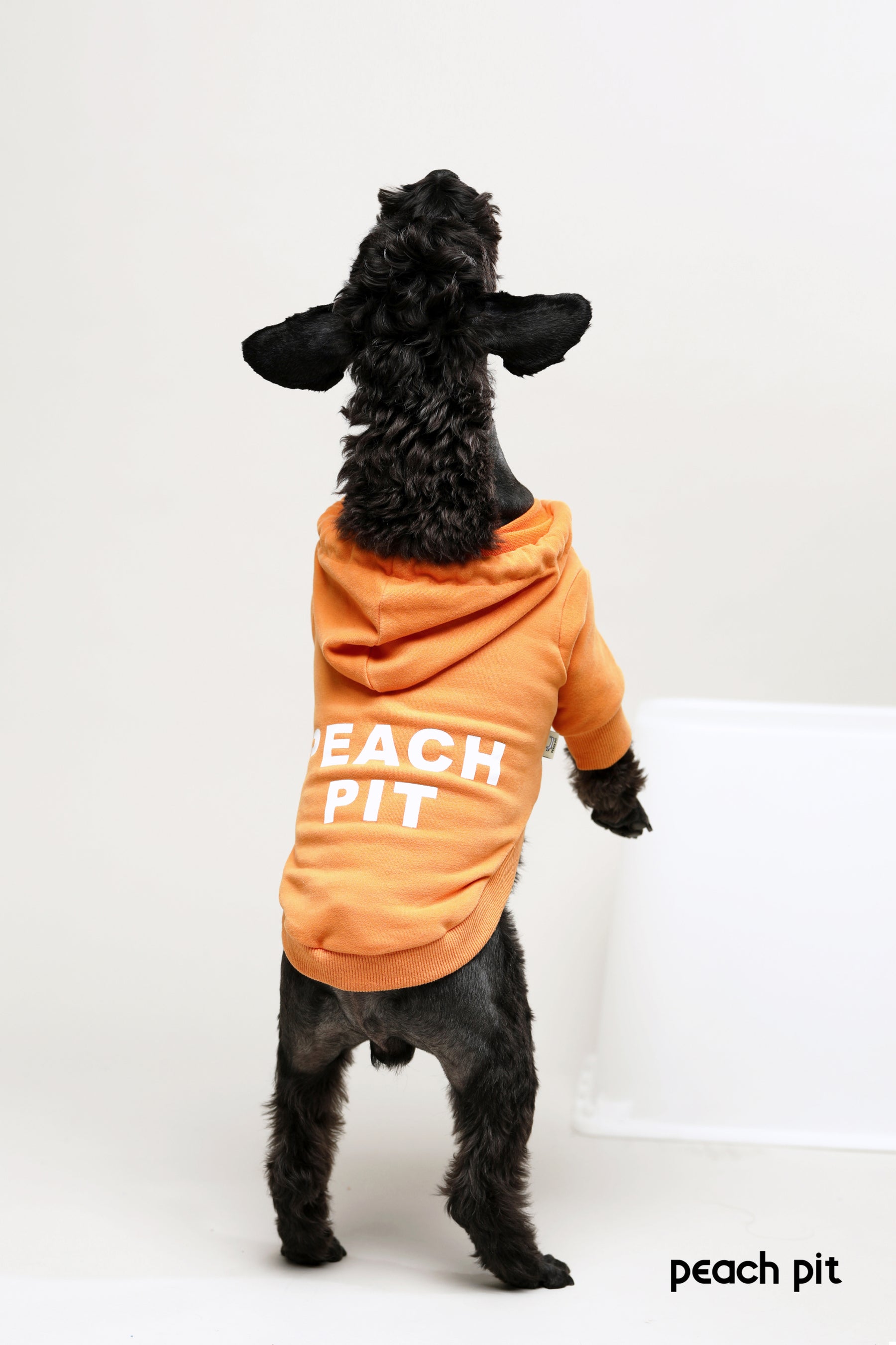 PEACH PIT Dog's Hoodie