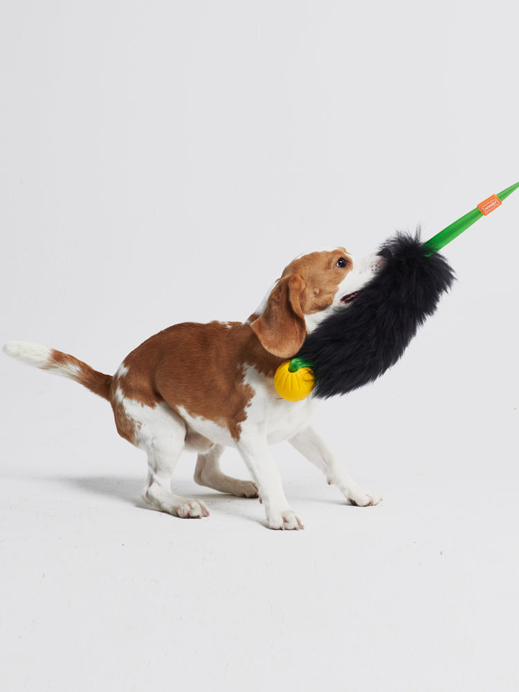 HOWGO 犬のからかいおもちゃ