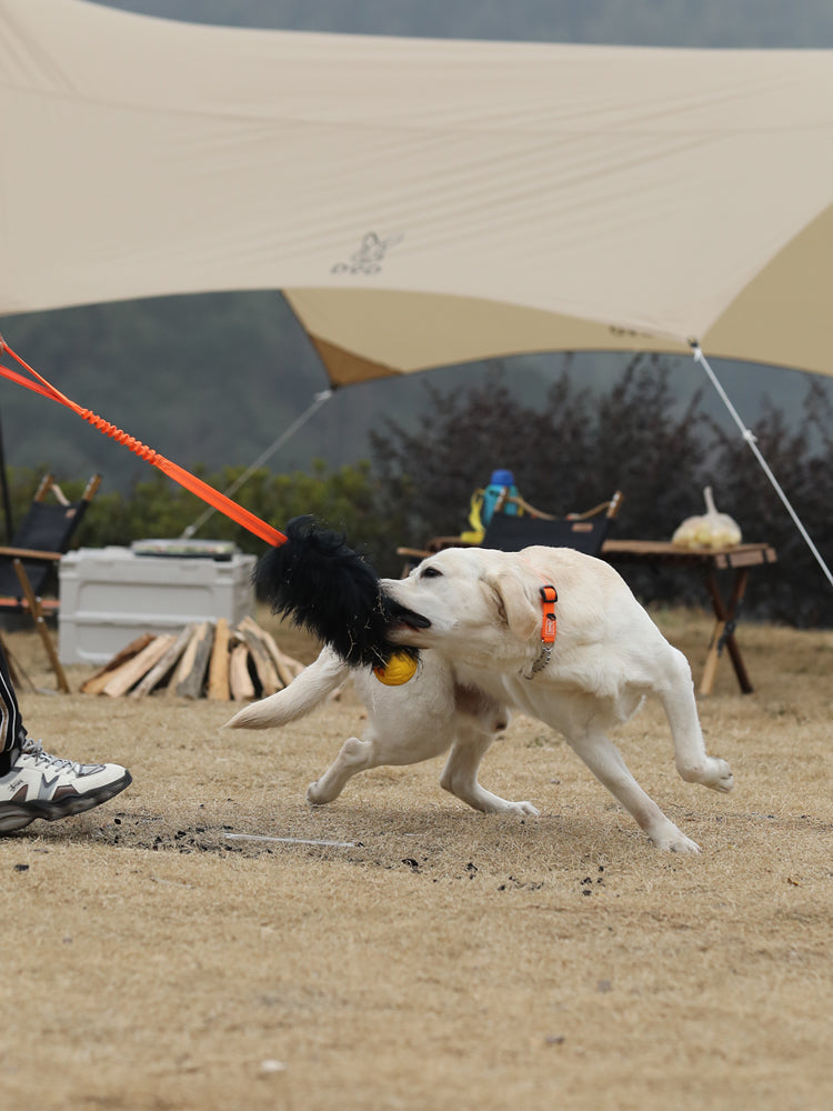 HOWGO 犬のからかいおもちゃ
