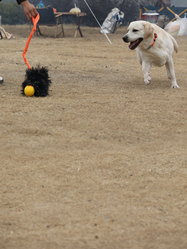 HOWGO 犬のからかいおもちゃ