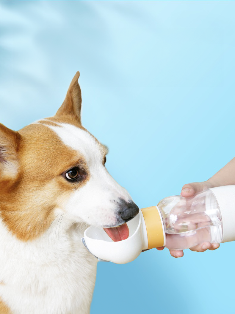 Multi-functional Pet Water Bottle