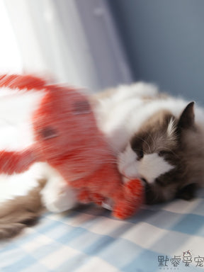 Cat Dancing Flopping Toy